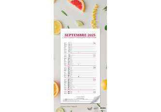 Calendrier bloc MENSUEL 16X33cm AGRUMES