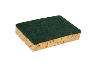 P.10 éponges classiques BG/VT