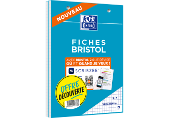 P.2 blocs 30 fiches bristol 148x210
