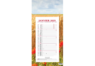 Calendrier bloc MENSUEL 16x33cm CHAMP